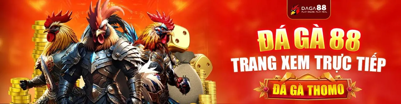 Hình ảnh chính về trách nhiệm giải trí của ke9o win